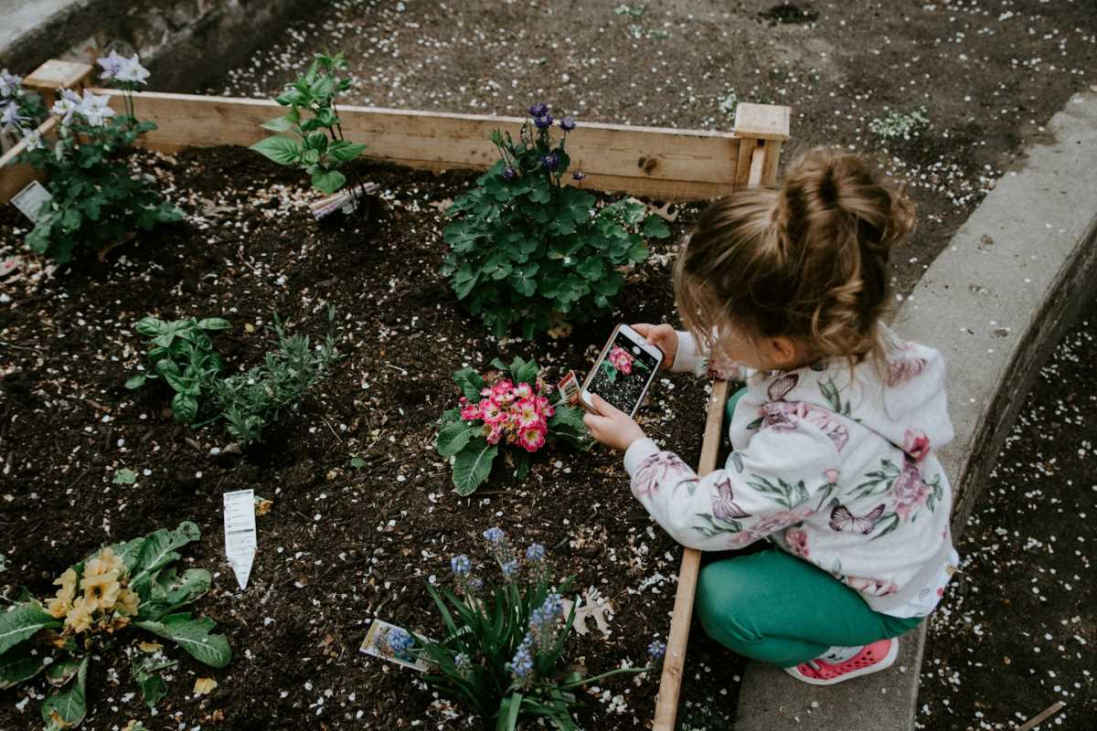 Urban Gardening: Tips for Growing Plants in Small Spaces